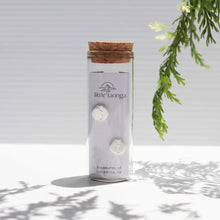 Load image into Gallery viewer, Little Taonga - Earrings