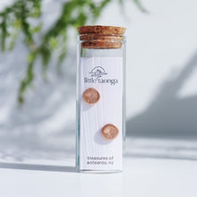 Load image into Gallery viewer, Little Taonga - Earrings