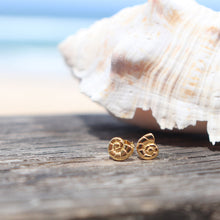 Load image into Gallery viewer, Nautilus Shell Jewelry