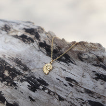 Load image into Gallery viewer, Nautilus Shell Jewelry