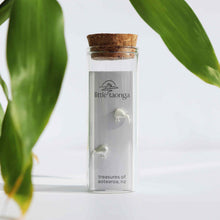 Load image into Gallery viewer, Little Taonga - Earrings