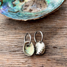Load image into Gallery viewer, Paua Shell Dipped Round Hoop Earrings
