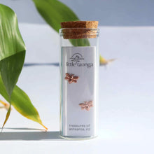 Load image into Gallery viewer, Little Taonga - Earrings