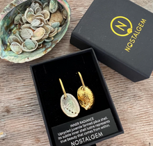 Load image into Gallery viewer, Paua Shell Dipped Round Hoop Earrings