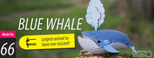 Load image into Gallery viewer, Eugy blue Whale 3D model on rock
