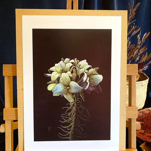 Lillies A3 limited print by Nikki McIvor