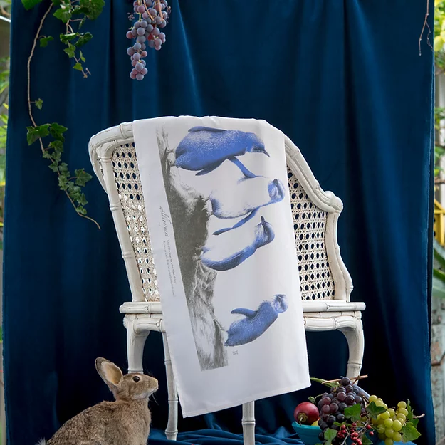 Little Blue Penguin Tea Towel - Wild Grey Fox