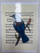 Load image into Gallery viewer, Birds on Music Sheet A4 Prints - Jackie Bird
