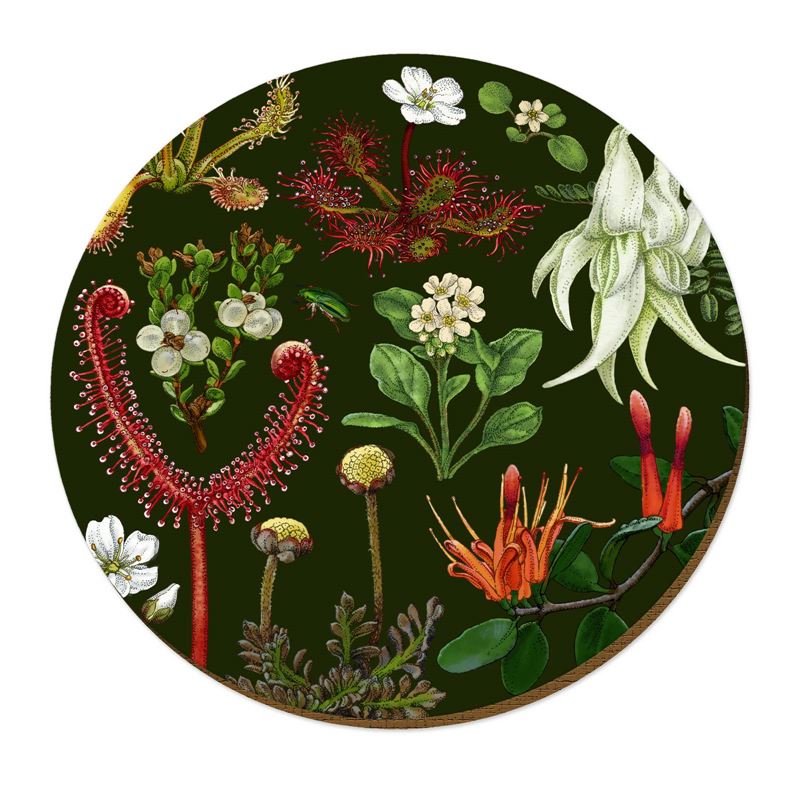 Wolfkamp & Stone -  NZ Plants - Placemat