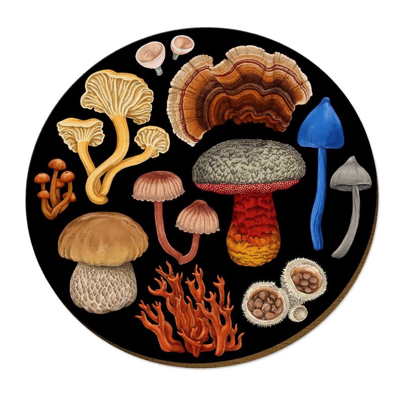 Wolfkamp & Stone -  NZ Fungi Bolete - Placemat