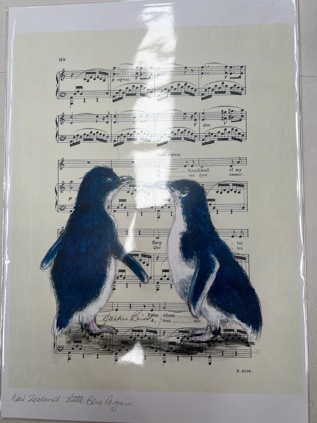 Birds on Music Sheet A4 Prints - Jackie Bird