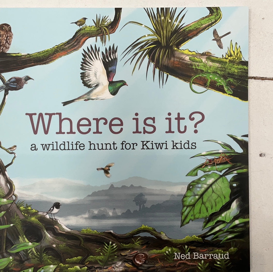 Where is it? A wildlife hunt for Kiwi kids