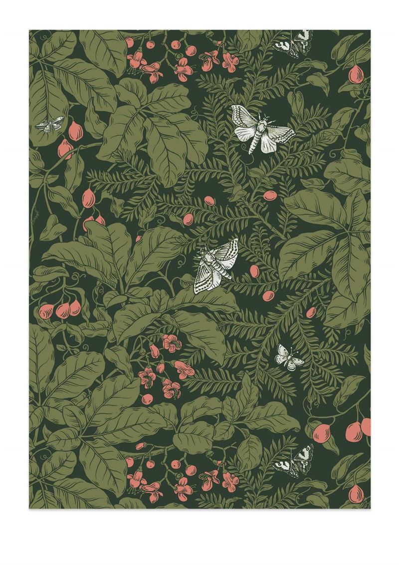 Puriri - Tea Towel - Wolfkamp & Stone