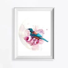 Load image into Gallery viewer, New Zealand Watercolours - Fauna &amp; Flora collection (A4 size, no frame)
