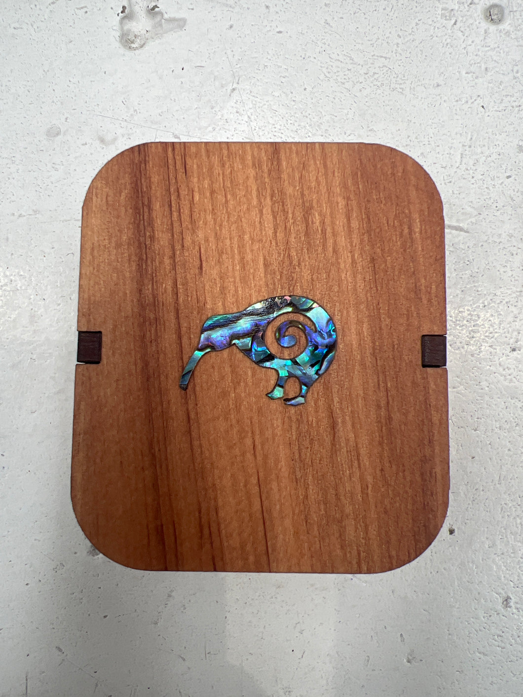 Something Special Box Kiwi Paua