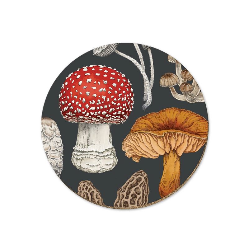 NZ Fungi Morchella - Coaster - Wolfkamp & Stone