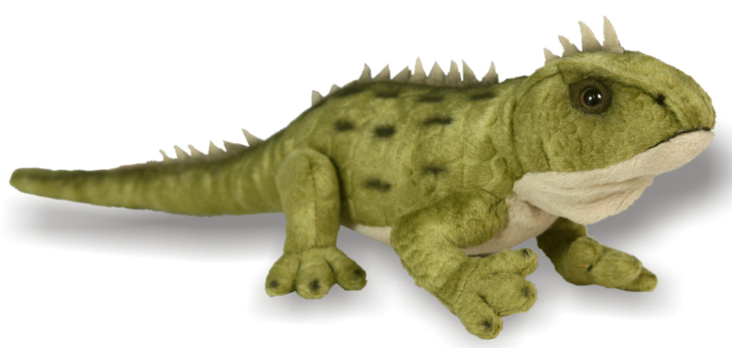 Tuatara Sound Toy 37cm