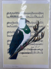 Load image into Gallery viewer, Birds on Music Sheet A4 Prints - Jackie Bird
