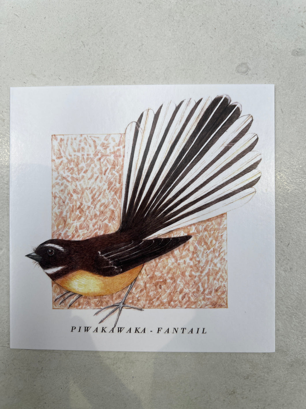 Piwakawaka - Fantail Card