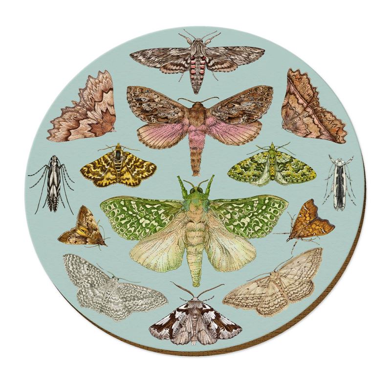 Wolfkamp & Stone - NZ Moths - Placemat