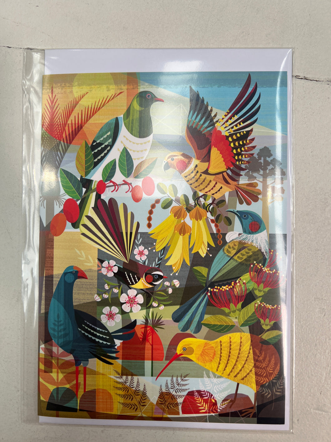 NZ Flora and Fauna