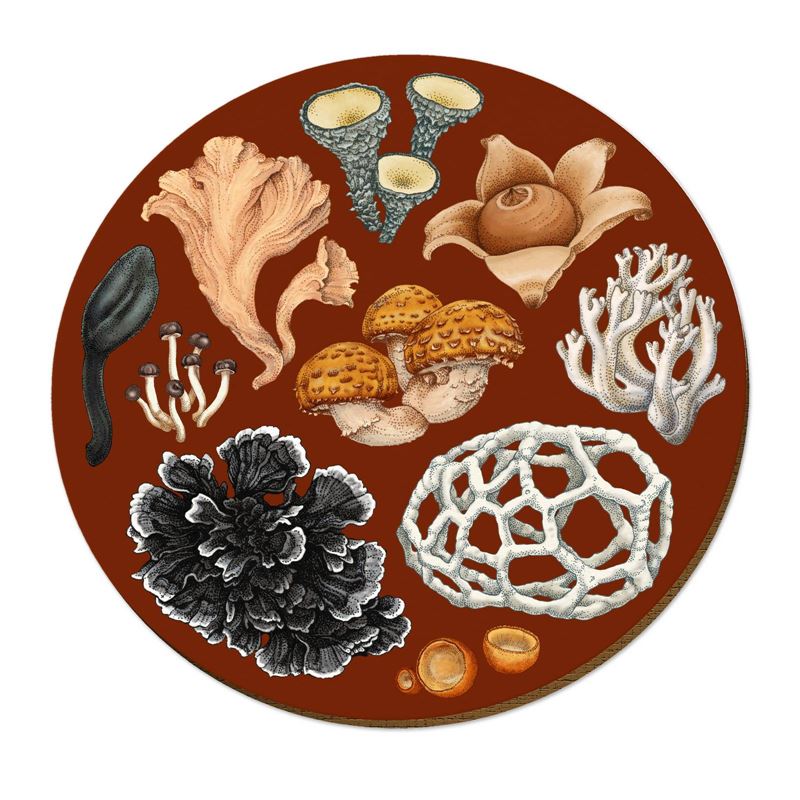 Wolfkamp & Stone -  NZ Fungi Phellodon - Placemat