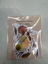 Load image into Gallery viewer, Shaxu Art Sticker Gift Sets
