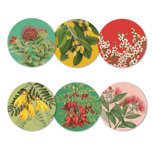 Load image into Gallery viewer, Native Botanicals of NZ set of 6 Coasters
