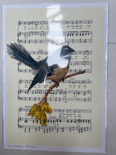 Load image into Gallery viewer, Birds on Music Sheet A4 Prints - Jackie Bird
