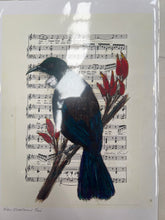 Load image into Gallery viewer, Birds on Music Sheet A4 Prints - Jackie Bird
