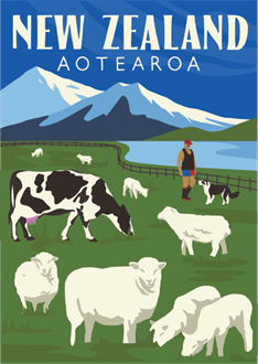 NZ Tea Towels