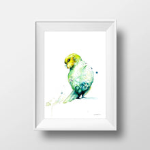 Load image into Gallery viewer, New Zealand Watercolours - Fauna &amp; Flora collection (A4 size, no frame)
