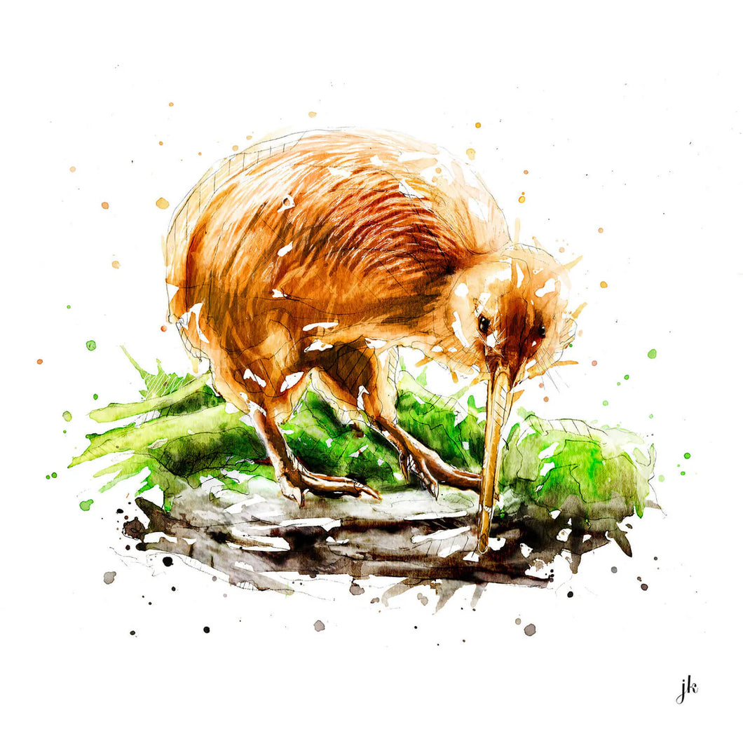 Kiwi Canvas Print - Jeremy Kyle Art