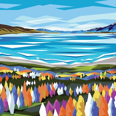 Lake Tekapo & Lupins Print by Ira Mitchell