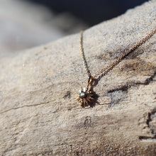 Load image into Gallery viewer, Rā Paua Jewelery
