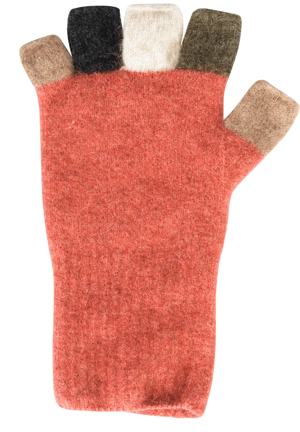 Multi Coloured Rosewood Fingerless Gloves - Native World