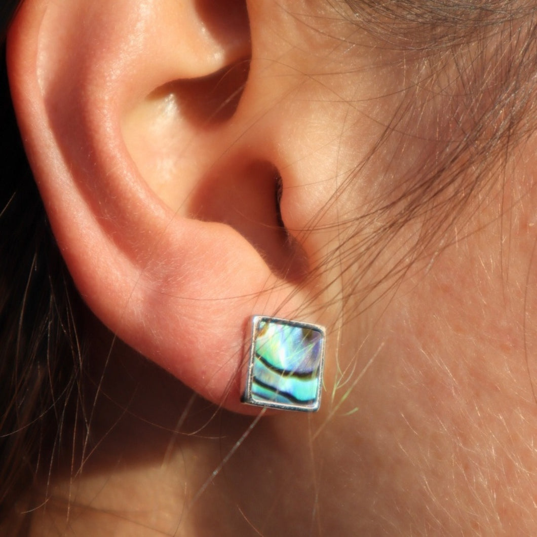 Paua Stud Earrings - Sterling Silver