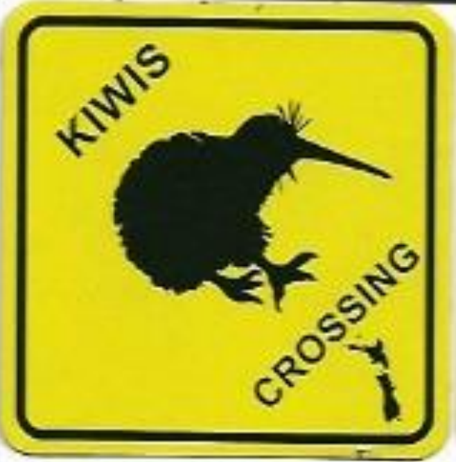 Yellow Kiwi Crossing Magnet