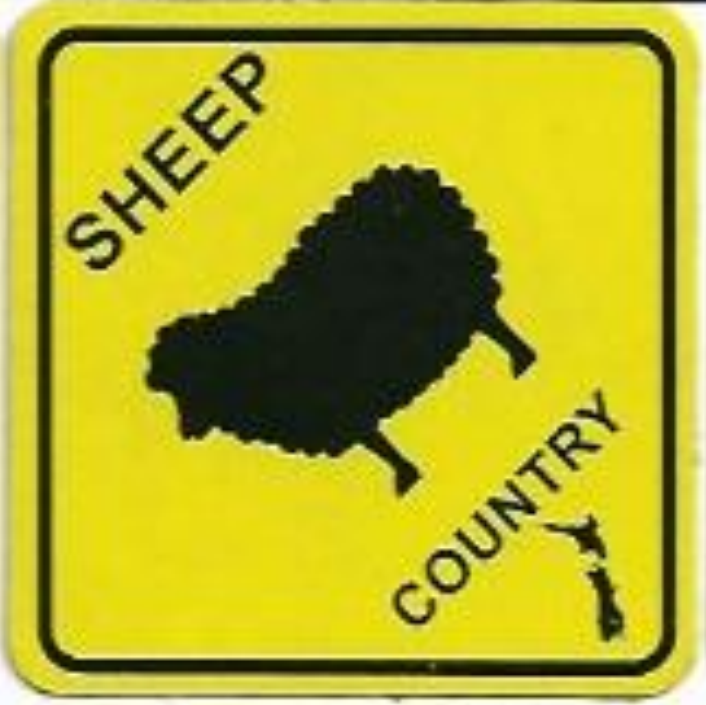 Yellow Sheep Country Magnet