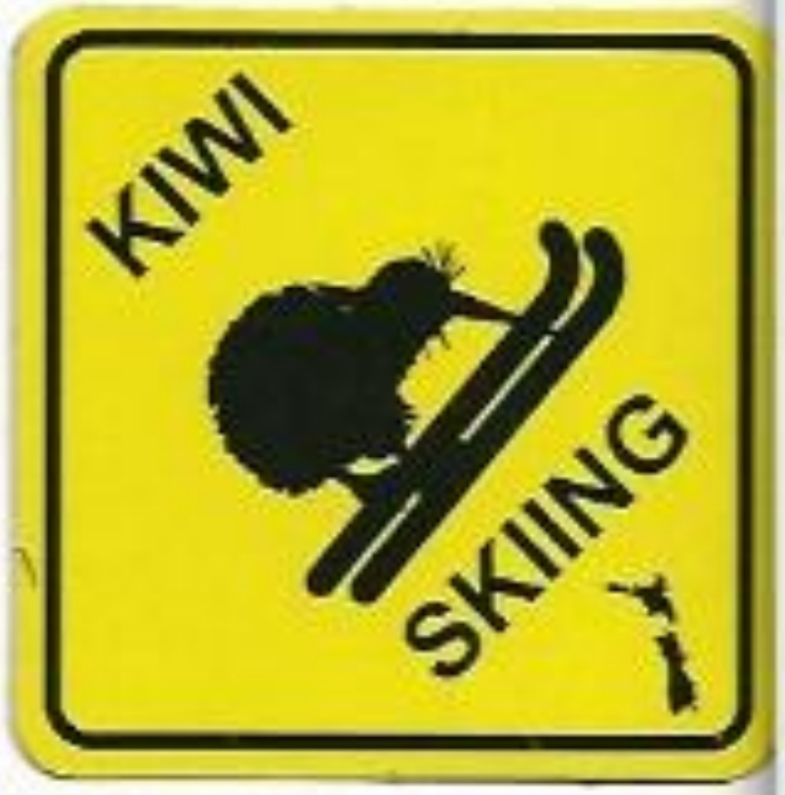 Yellow Kiwi Skiing Magnet