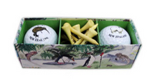 Load image into Gallery viewer, Golf Ball Pack
