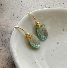 Load image into Gallery viewer, Paua Shell With Silver Dipped Outer Shell French Hook Earrings

