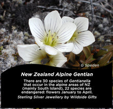 Load image into Gallery viewer, N.Z. Alpine Gentian Earrings - Sterling Silver
