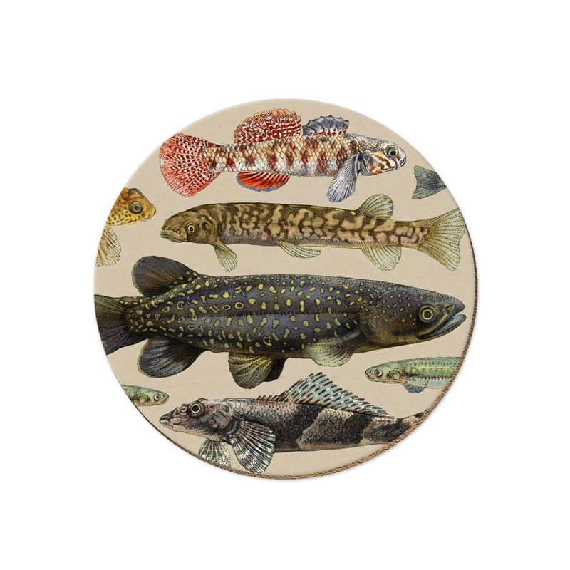 NZ Freshwater Fish - Coaster - Wolfkamp & Stone