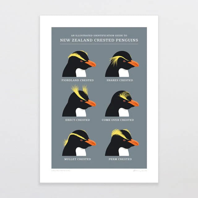 Crested Penguins Print A4 by Glenn Jones