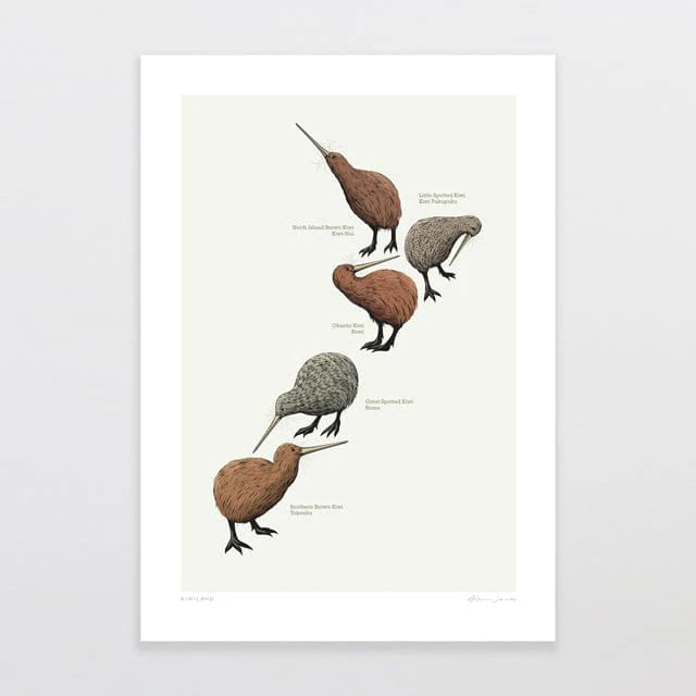 Kiwi Land by Glenn Jones