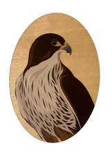 Load image into Gallery viewer, NZ Fauna Magnets
