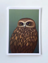 Load image into Gallery viewer, NZ Fauna Cards
