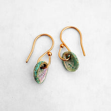 Load image into Gallery viewer, Beachsand Paua Shell Hook Earrings
