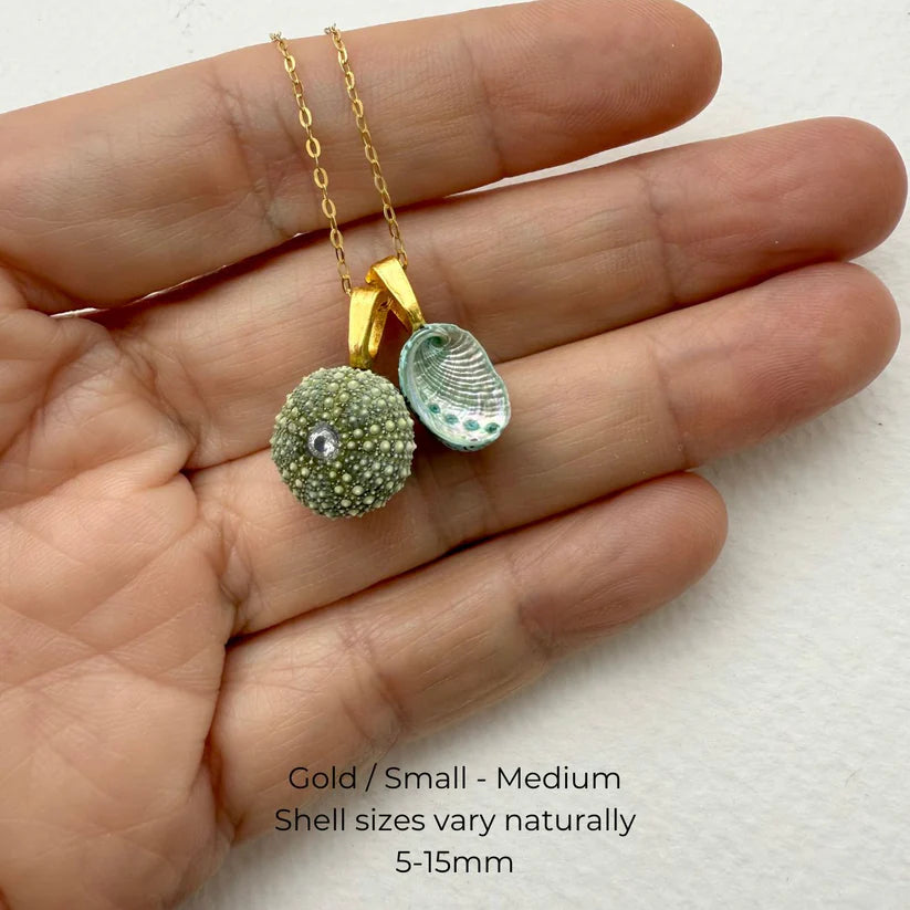 Gold Tiny Paua & Kina Shells Pair Necklace